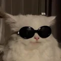 Kübraaaamm